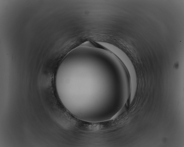 X0000095680225200801151133