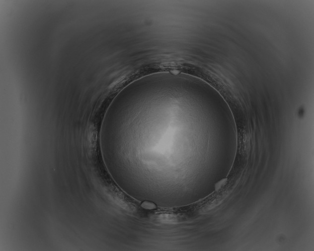 X0000095680228200801151133