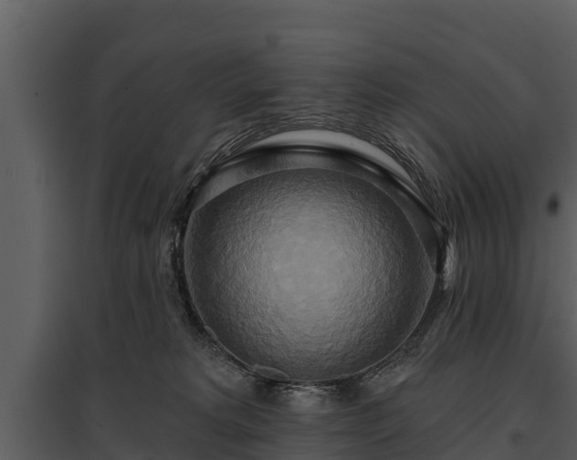X0000095680229200801151133