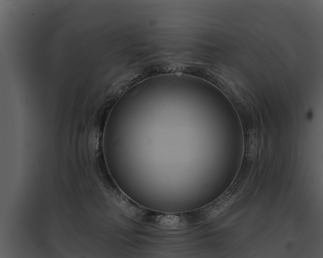 X0000095680230200801151133