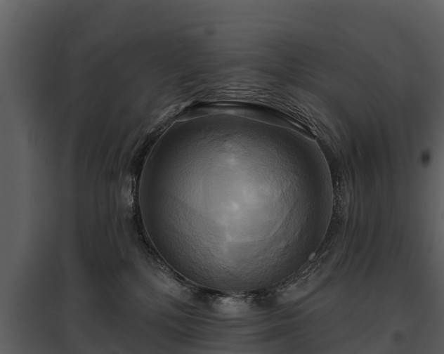 X0000095680232200801151133