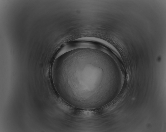 X0000095680233200801151133