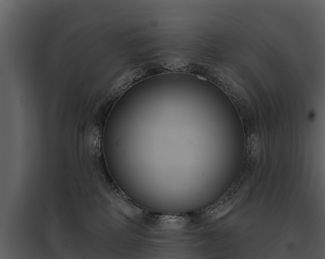 X0000095680234200801151133