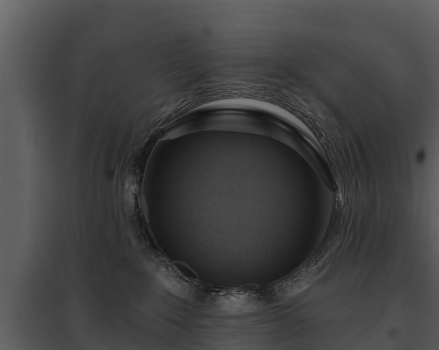 X0000095680235200801151133