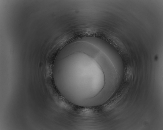 X0000095680236200801151133