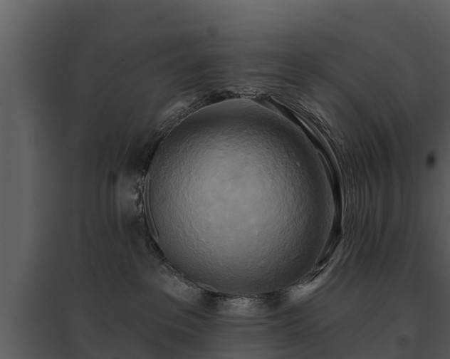 X0000095680237200801151133