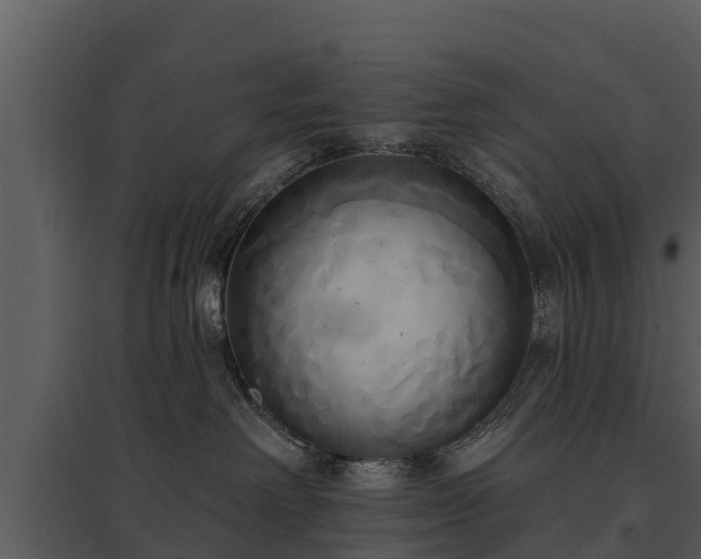 X0000095680238200801151132
