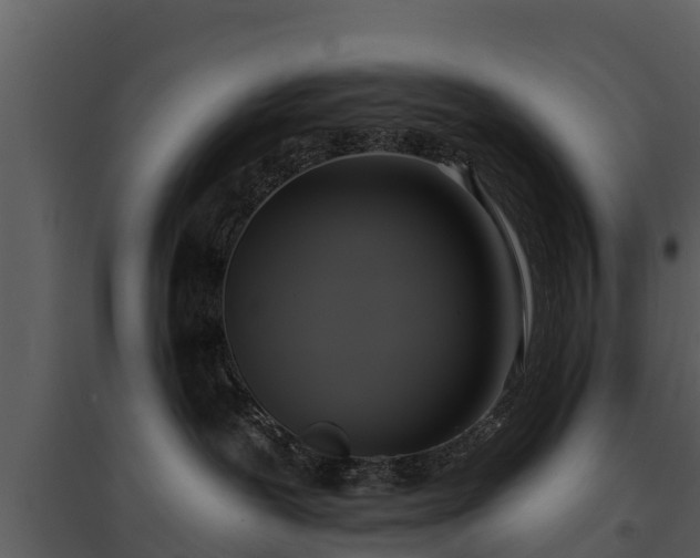 X0000095680239200801151132