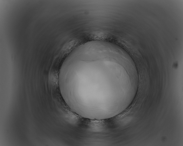 X0000095680240200801151132