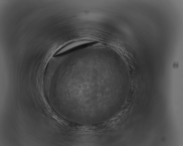 X0000095680241200801151132