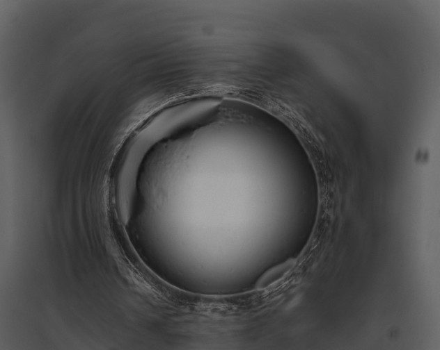 X0000095680242200801151132