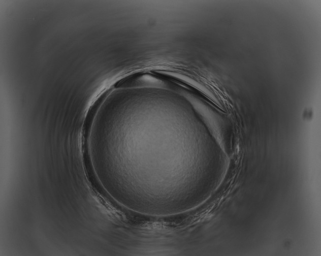 X0000095680244200801151132