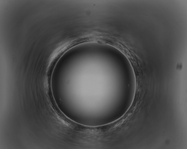 X0000095680245200801151132