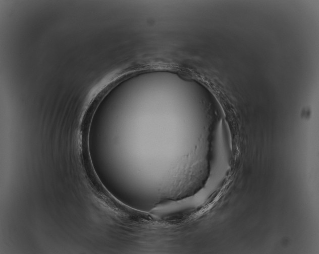 X0000095680246200801151132