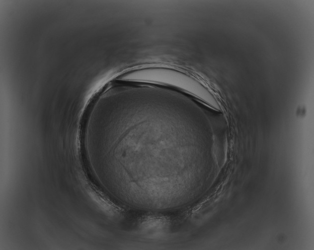 X0000095680248200801151132