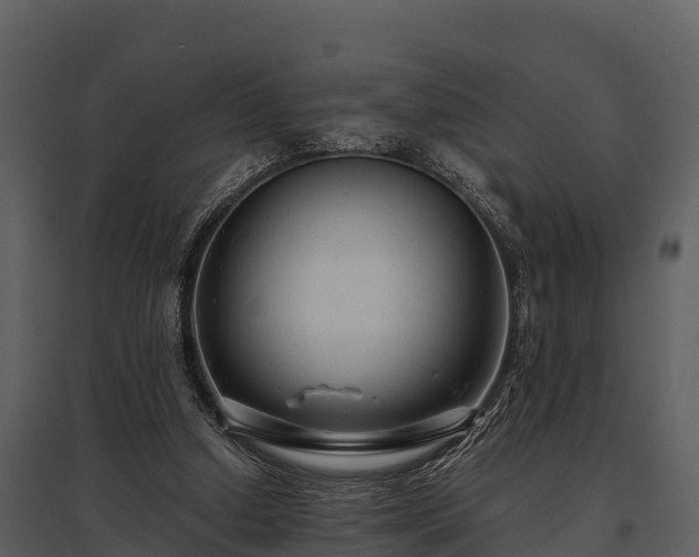 X0000095680250200801151132
