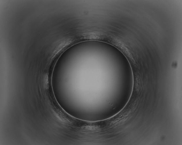 X0000095680251200801151132