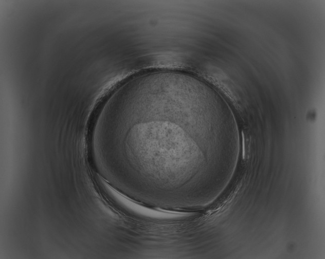 X0000095680252200801151132