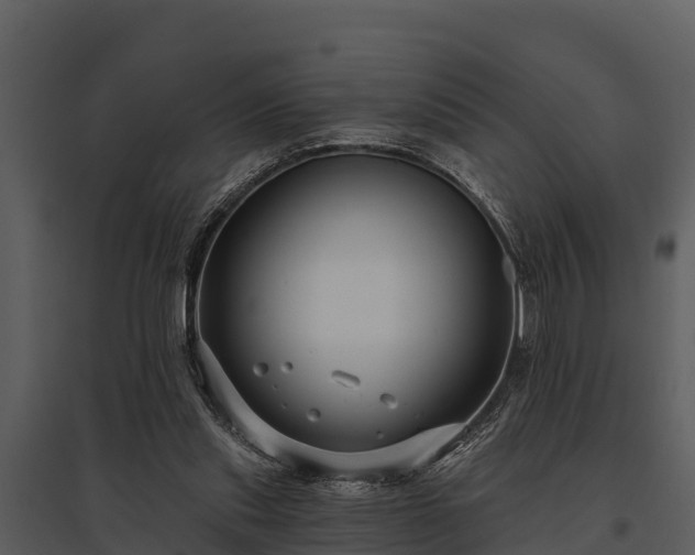 X0000095680253200801151132