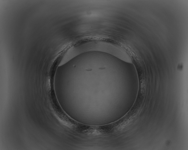 X0000095680254200801151132