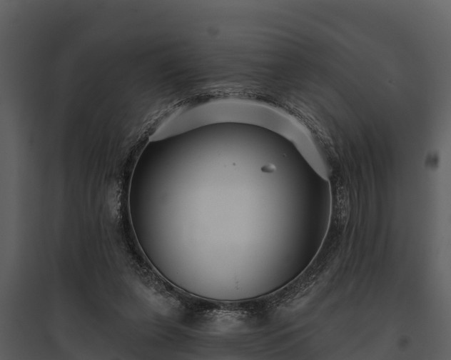 X0000095680255200801151132