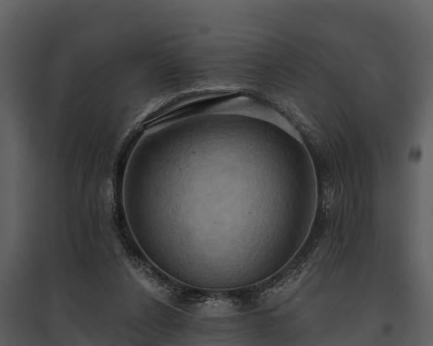 X0000095680256200801151132