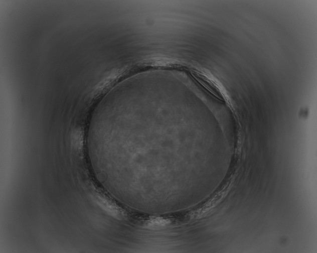 X0000095680257200801151132