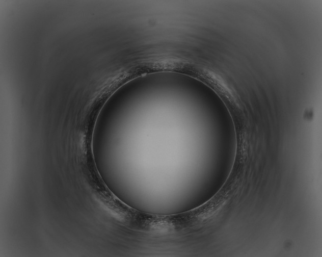 X0000095680258200801151132