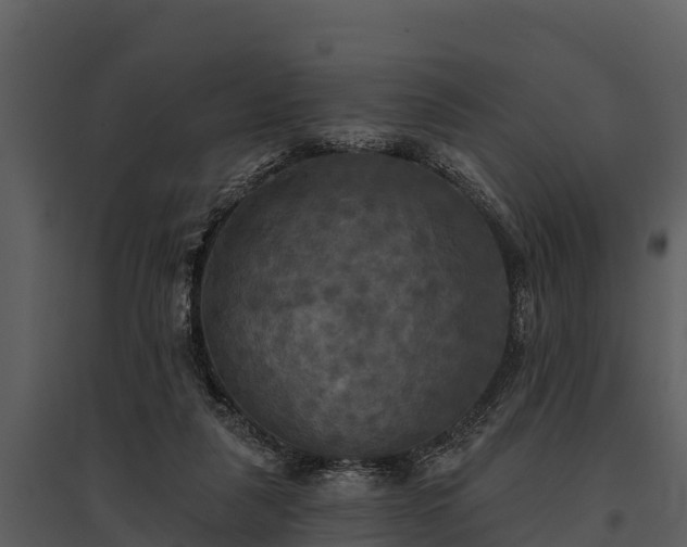 X0000095680259200801151132