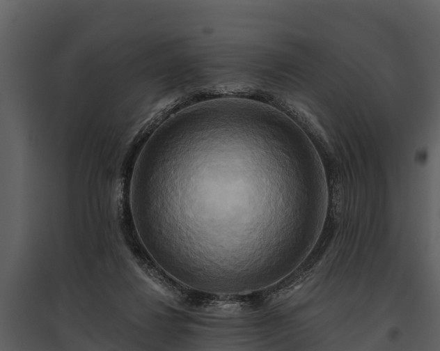 X0000095680260200801151132