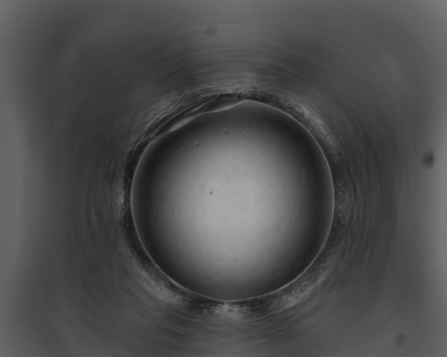 X0000095680261200801151132
