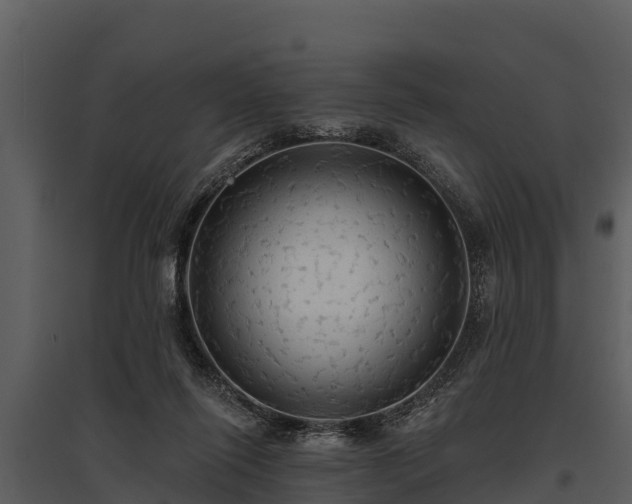 X0000095680262200801151132