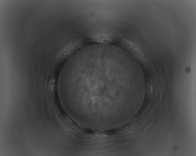X0000095680263200801151132