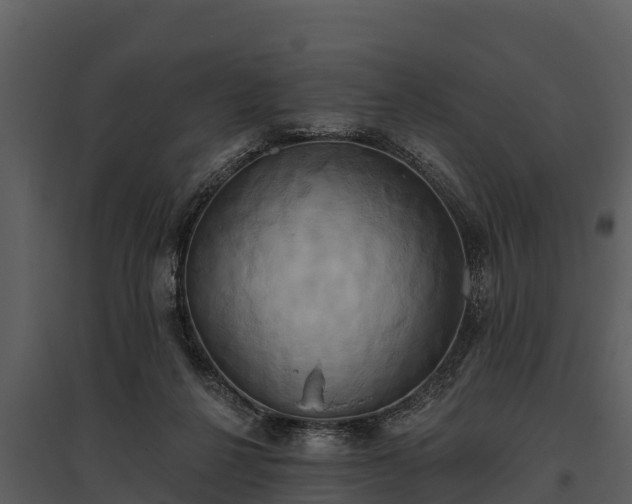 X0000095680264200801151132