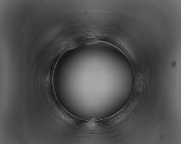 X0000095680265200801151132