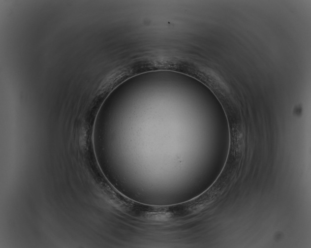 X0000095680266200801151132