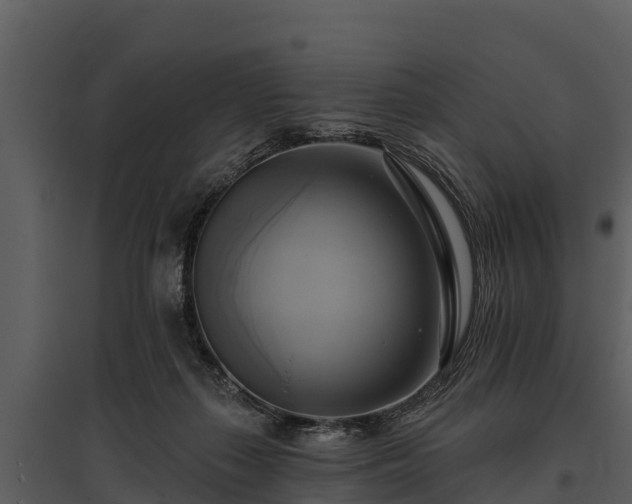 X0000095680267200801151132