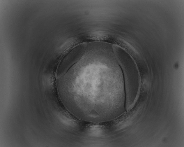 X0000095680268200801151132