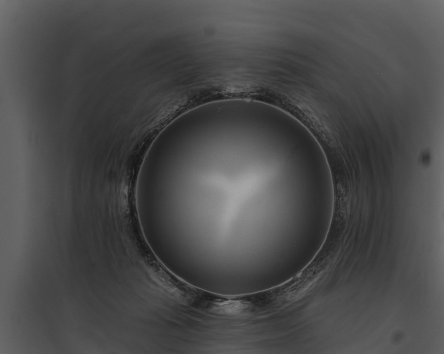 X0000095680269200801151132