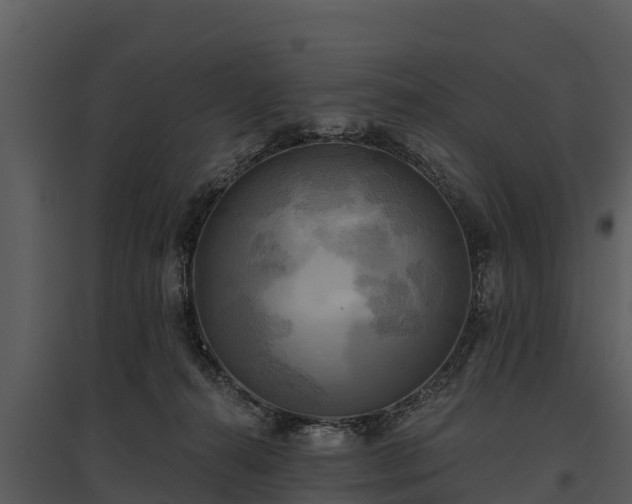 X0000095680272200801151132