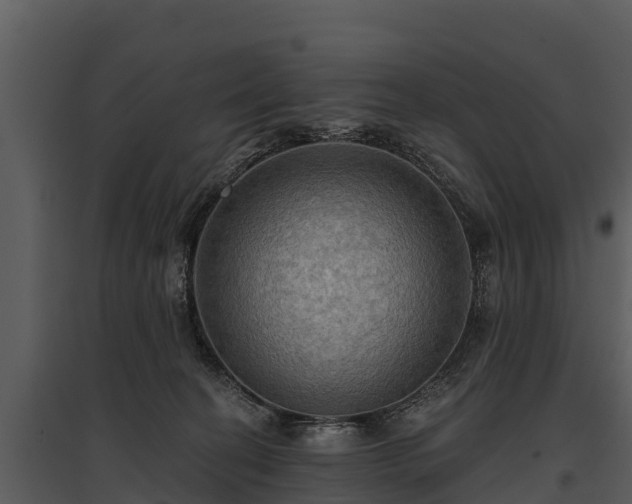 X0000095680274200801151132
