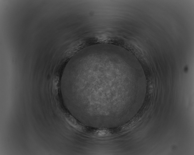 X0000095680275200801151132