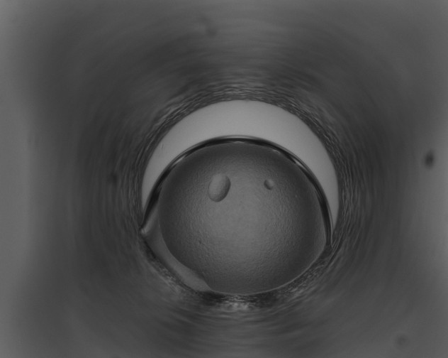 X0000095680276200801151132