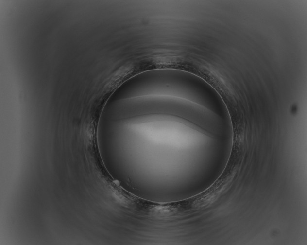 X0000095680277200801151132
