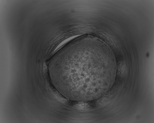X0000095680278200801151132