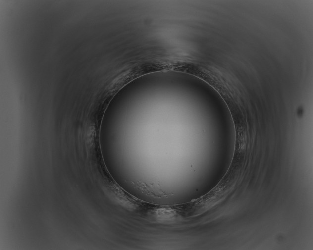 X0000095680279200801151132
