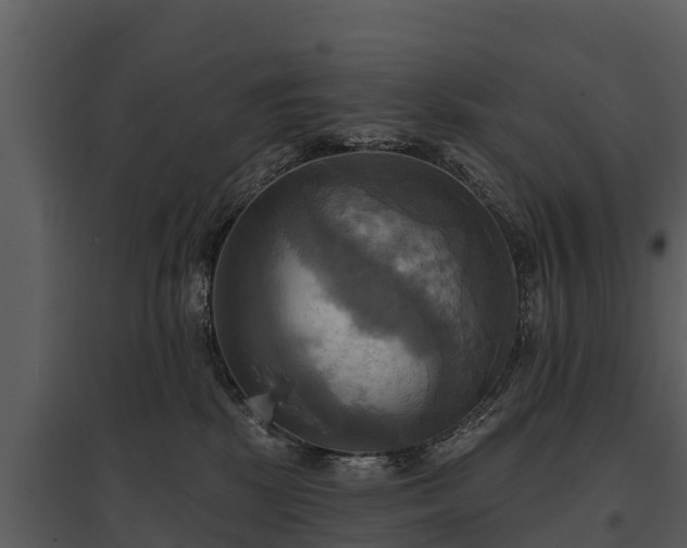 X0000095680281200801151132