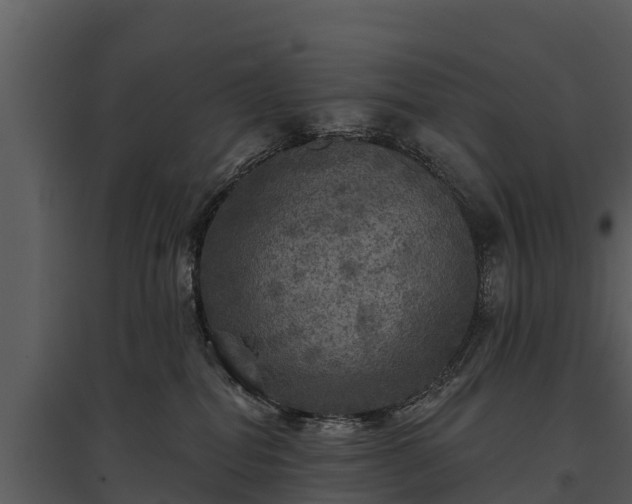 X0000095680282200801151132