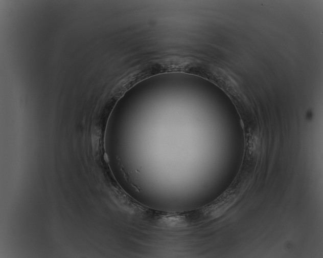 X0000095680283200801151132