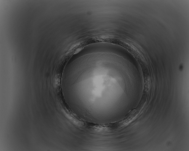 X0000095680284200801151132